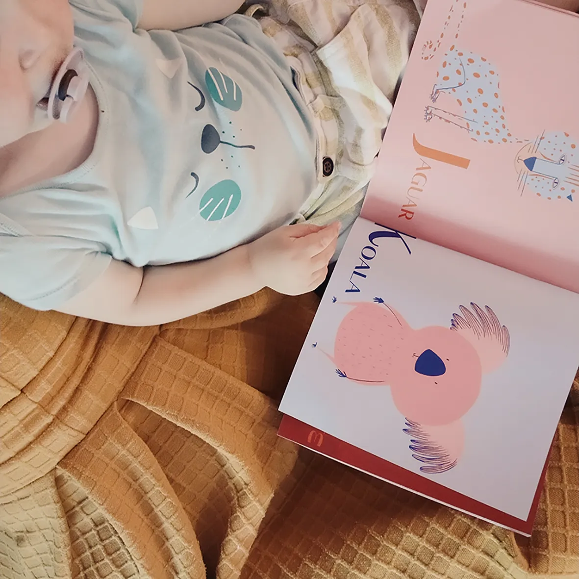 L'Alphabet des animaux